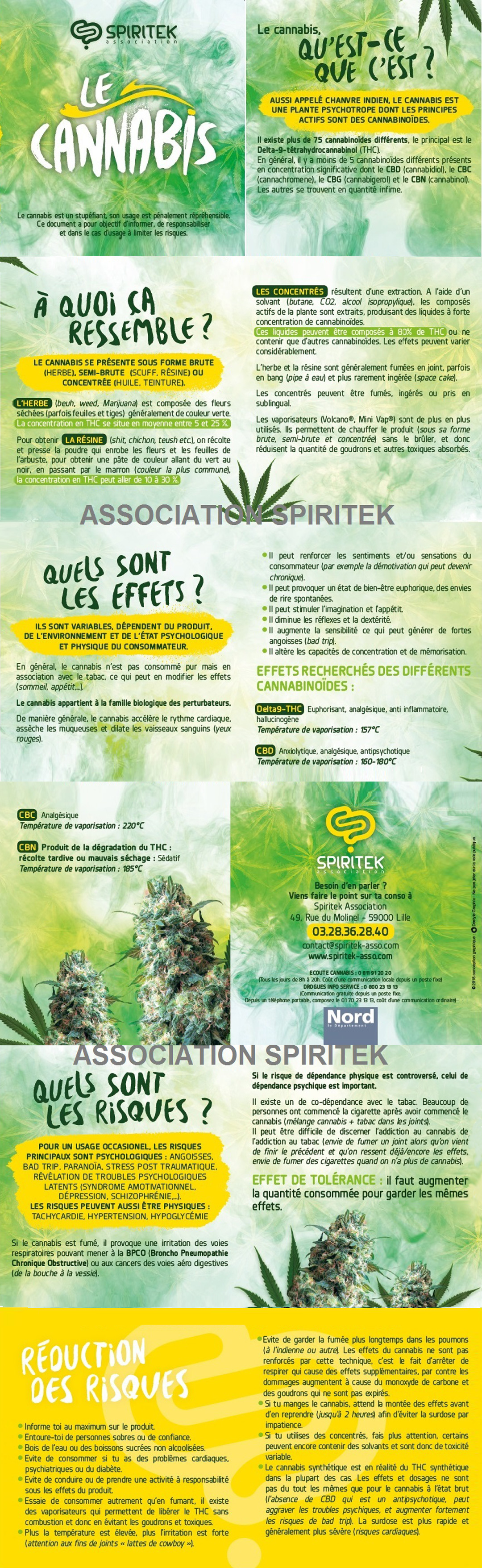 Télécharger le flyer sur la Cannabis en pdf